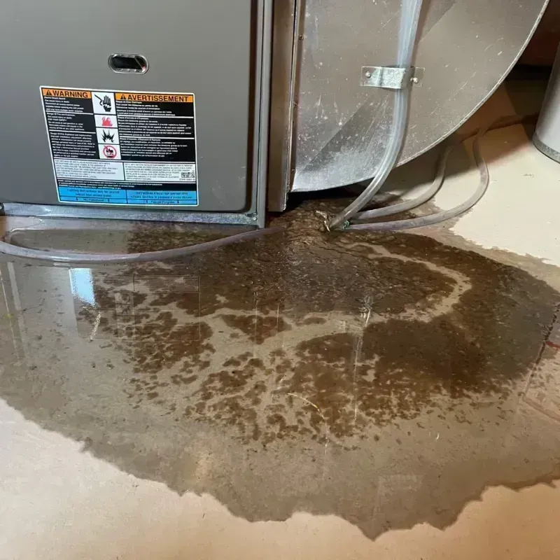 Appliance Leak Cleanup in Arden-Arcade, CA